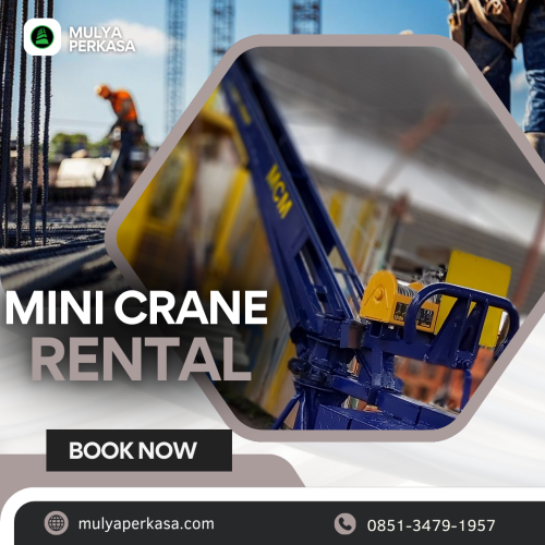 Sewa Mini Crane Jembrana