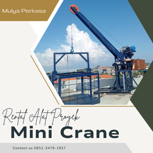 Sewa Mini Crane Sidoarjo