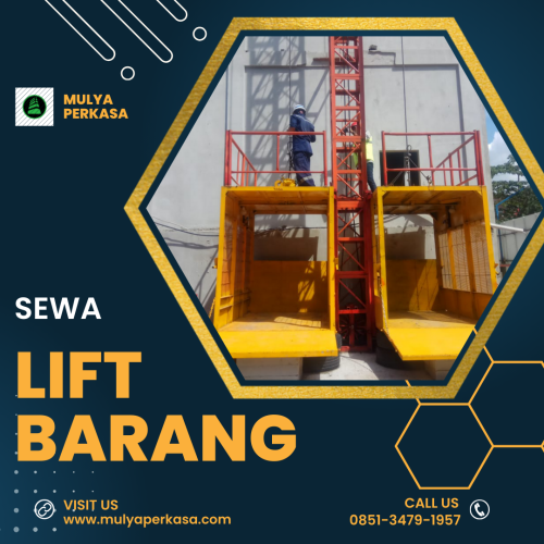 Jasa Sewa Lift Barang Tanjungpinang 1-4 Ton | Solusi Tangguh untuk Pengangkatan Material