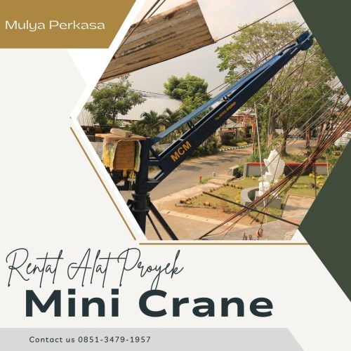Sewa Mini Crane Tuban