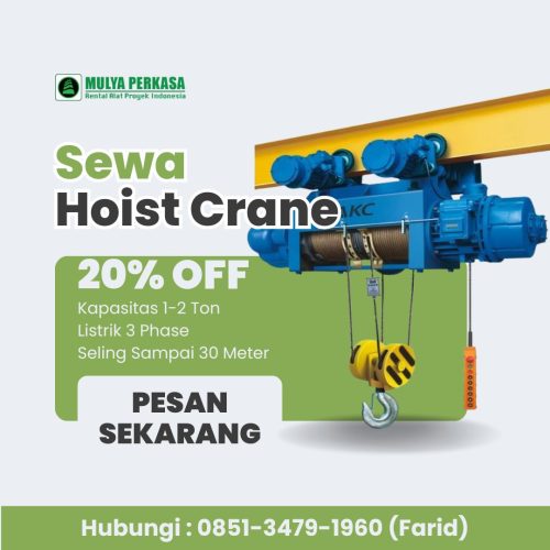 Sewa Hoist Crane Depok